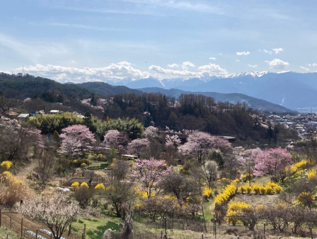 高遠の山と自然に囲まれた屋外ステージでジャズとブルースのライブ演奏、観客が地元フードやクラフト、ワークショップを楽しむ音楽フェスティバル。
