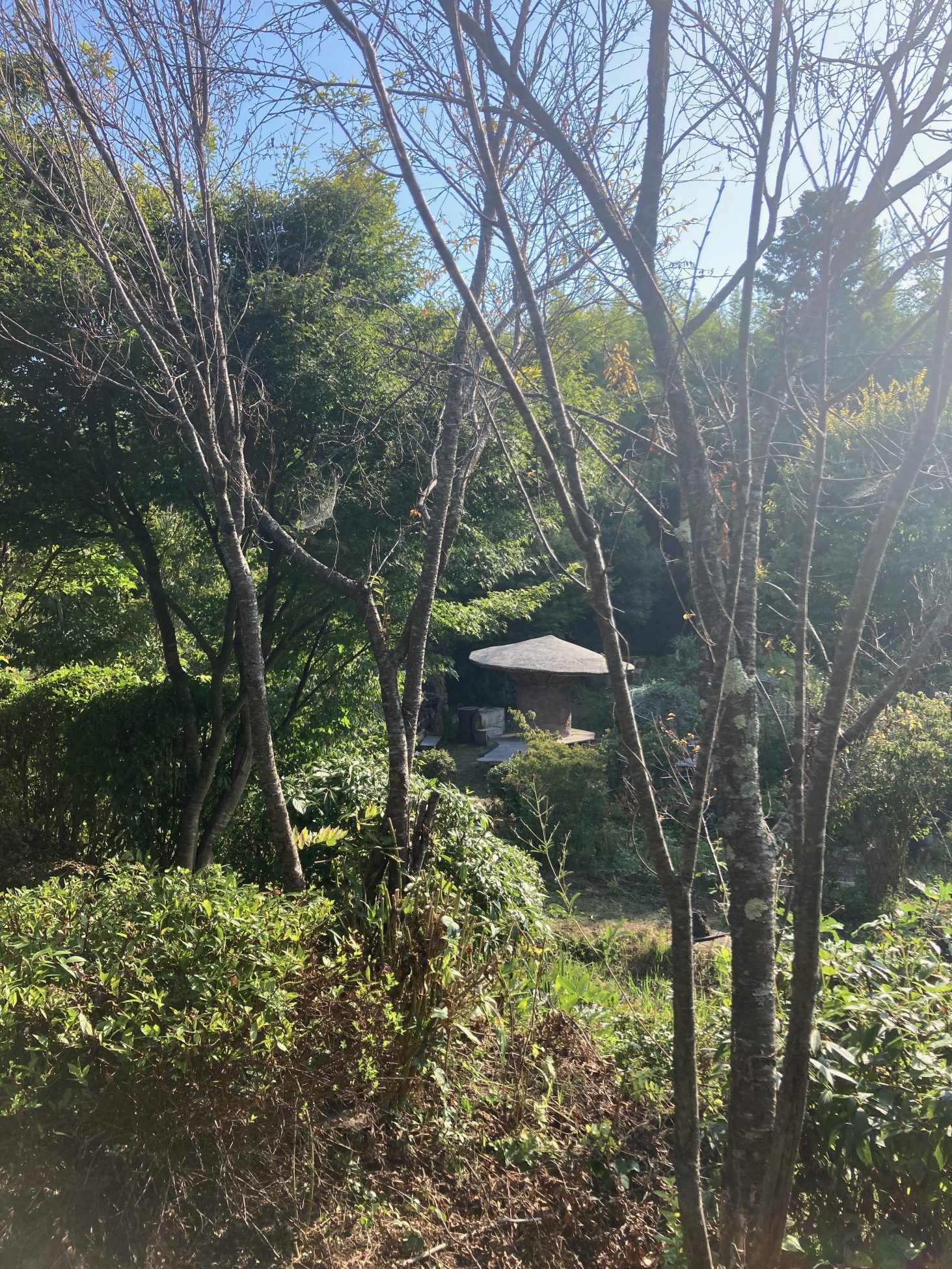 長野県高遠町のポレポレの丘