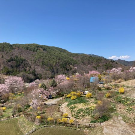 ポレポレの丘 - 高遠町東高遠