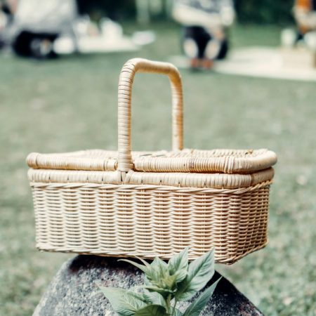 picnic at Takato Jazz and Blues Festival