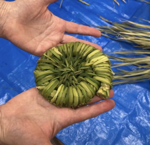 studio杢が真菰を使って制作した作品と、乾燥させた真菰の葉