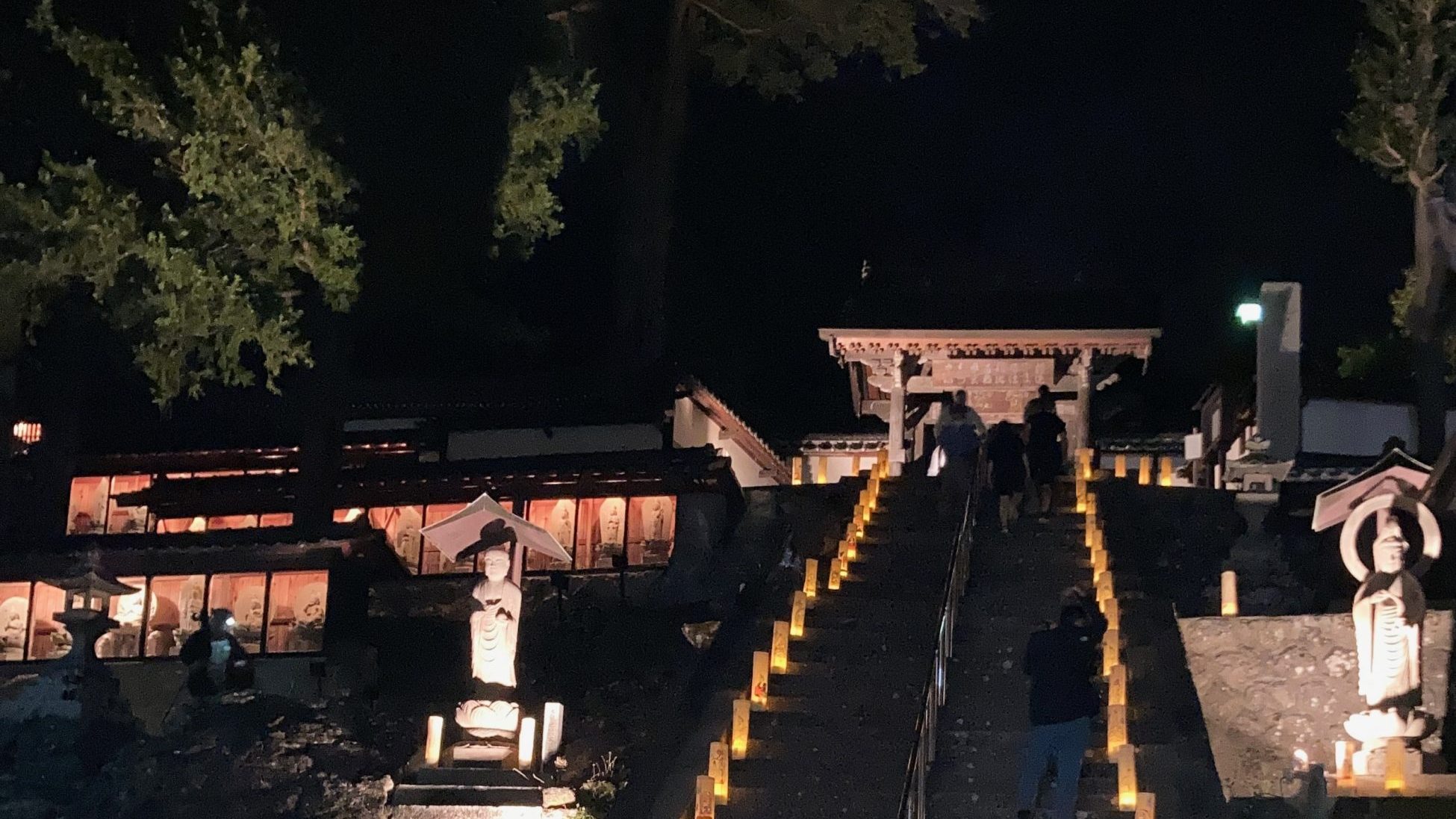 灯りが並ぶ高遠の石段と夜の町の風景