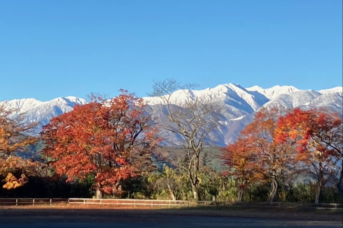 秋の紅葉越しに雪をまとった山々を望む高遠の風景