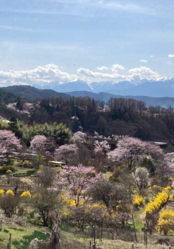 高遠の山と自然に囲まれた屋外ステージでジャズとブルースのライブ演奏、観客が地元フードやクラフト、ワークショップを楽しむ音楽フェスティバル。